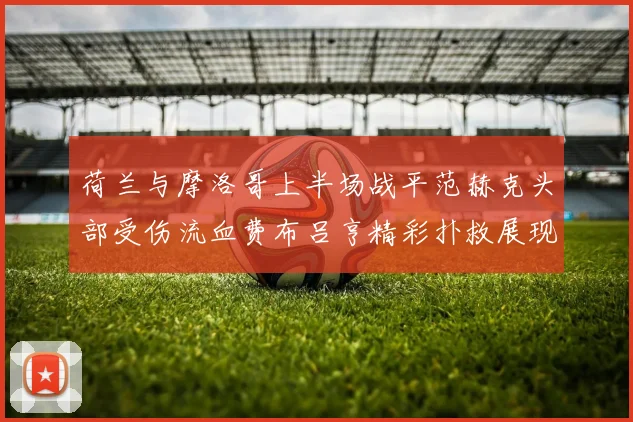 荷兰与摩洛哥上半场战平范赫克头部受伤流血费布吕亨精彩扑救展现实力